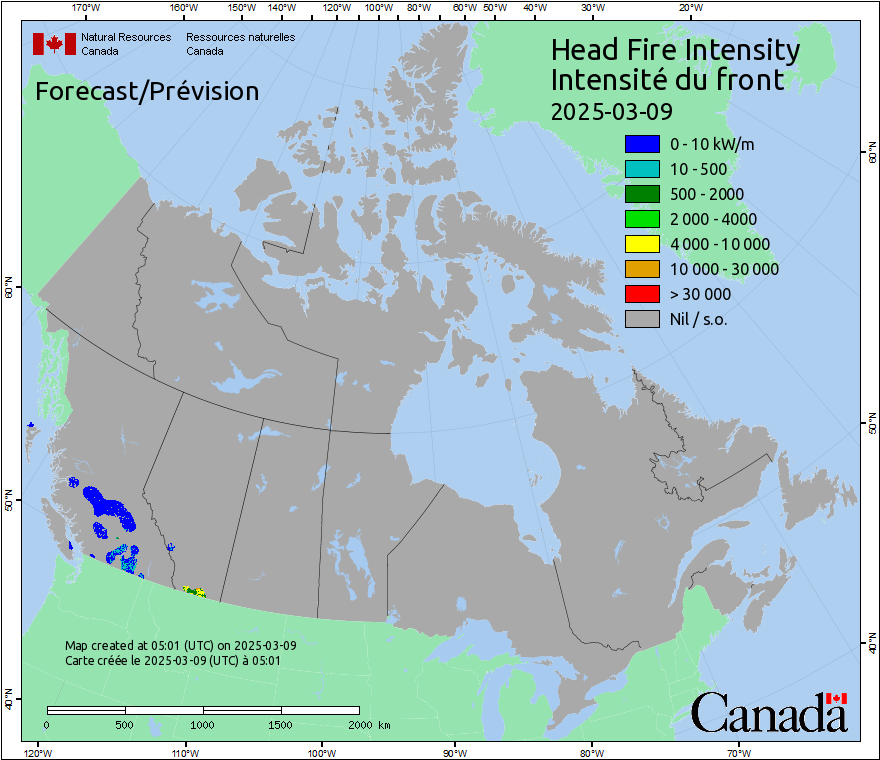 Head Fire Intensity