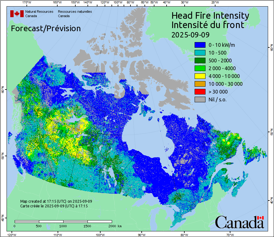 Head Fire Intensity